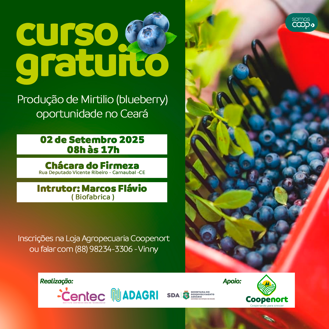 📣 CURSO GRATUITO DE MANEJO DE MIRTILO! 🍇💼